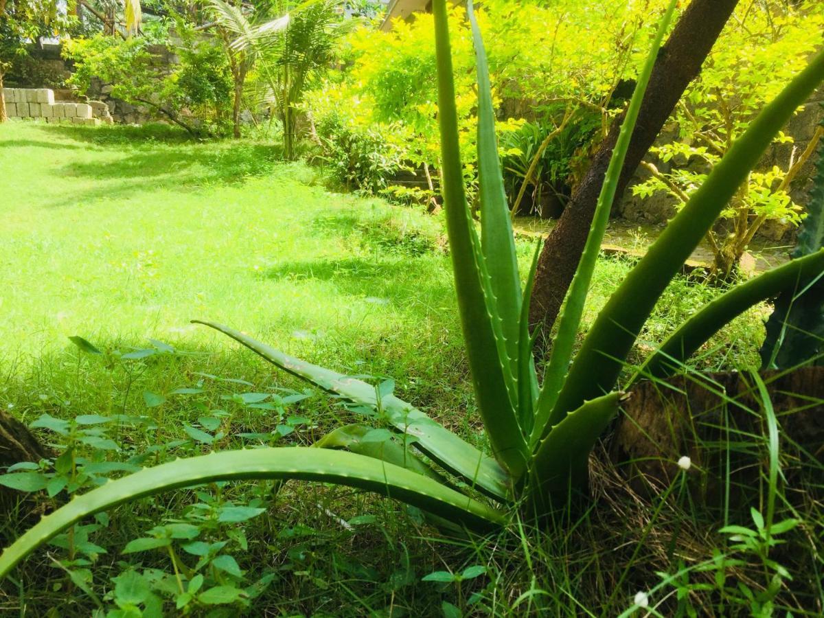 Ganesh House Ayurveda Homestay Kovalam Exterior photo